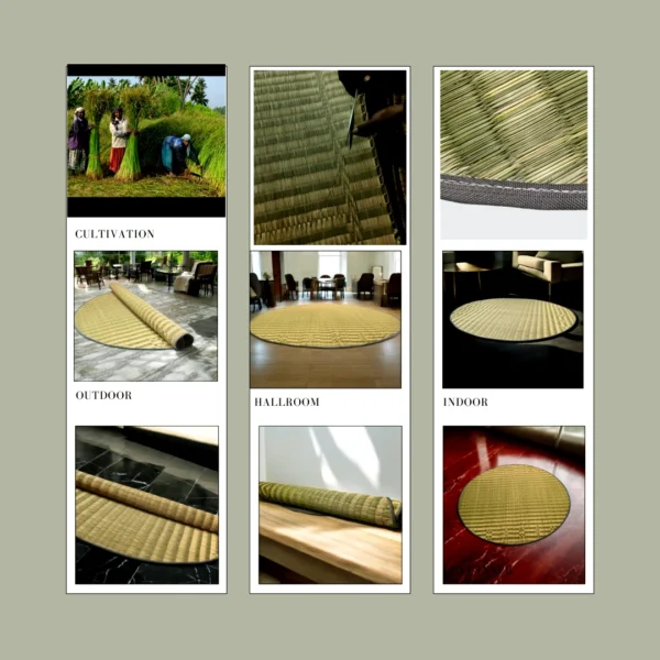 Collage showcasing Madurkathi river grass mat from cultivation to indoor and outdoor usage, including hallrooms, balconies, and close-up texture