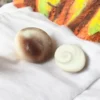 Close-up of two Gomati Chakra shells, one white spiral and one brown, on white cloth with colorful background