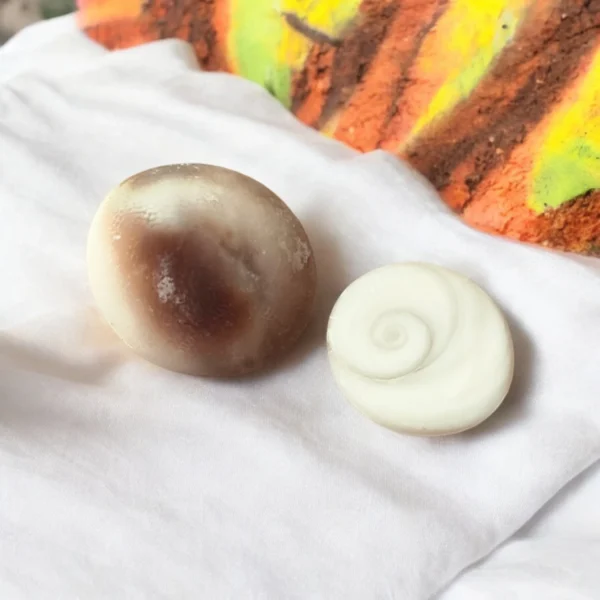 Close-up of two Gomati Chakra shells, one white spiral and one brown, on white cloth with colorful background