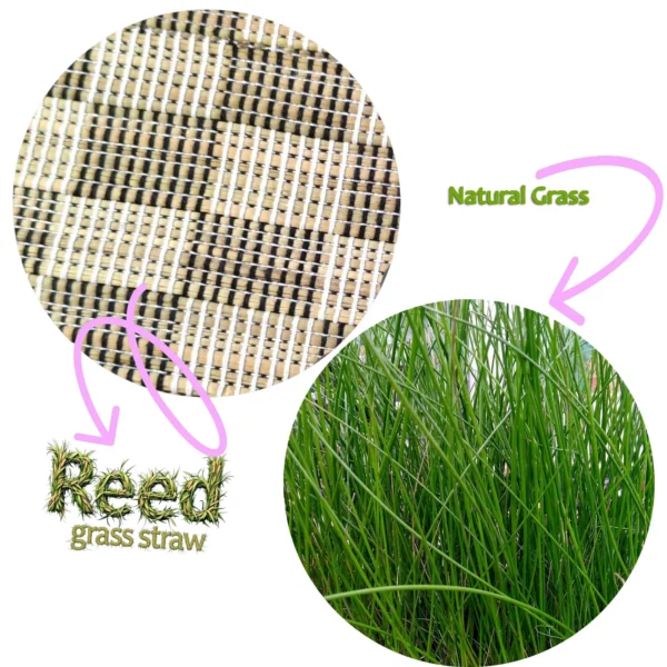 Close-up of handwoven reed grass mat and natural green reed grass – eco-friendly material showcase