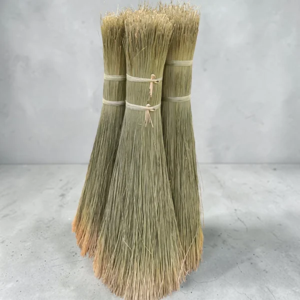 Natural Korai grass (Madurkathi) raw straw bundles, sun-dried and tied for mat weaving and handicraft use