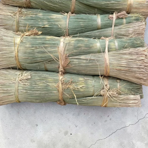 Bundles of natural Korai grass (Madurkathi) raw straw stacked together for mat weaving and handicraft use