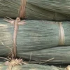 Close-up of natural Korai grass (Madurkathi) straw bundles tied with dried grass, used for mat weaving and crafts