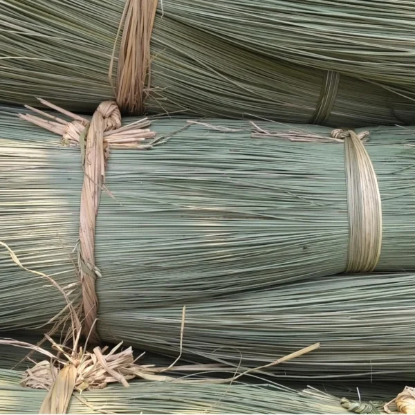 Close-up of natural Korai grass (Madurkathi) straw bundles tied with dried grass, used for mat weaving and crafts